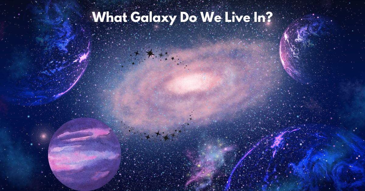 What Galaxy Do We Live In?